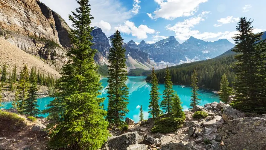 创意高性能